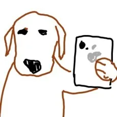 완9