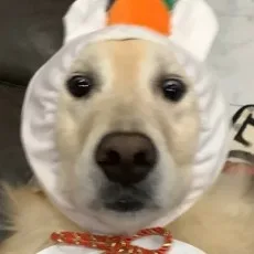 こたろう