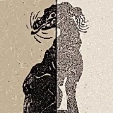 トイ・ヨウ