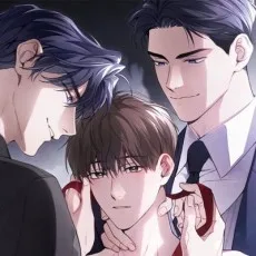 쉬어로즈