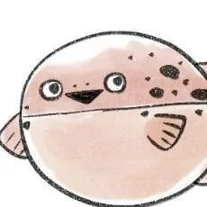 一丸煮
