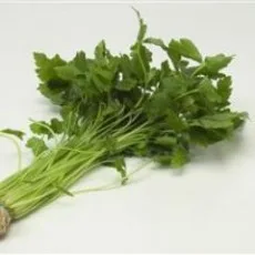 Three-Leaf