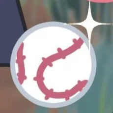 파까리