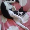 小塚敦子