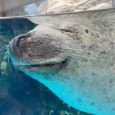 水都ミナト
