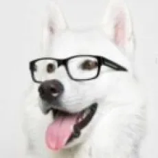 岑生