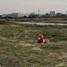 くもそく