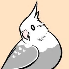 戸張ちょも