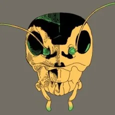 エコギ