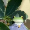 野羊まひろ