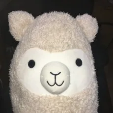 みなぱか