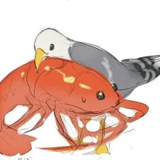 うみ