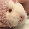 田辺チカ