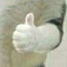 무우
