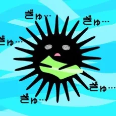 伊賀海栗