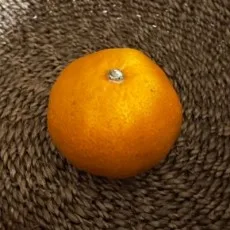 南寝