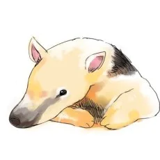 しろうーろん