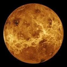 라고하