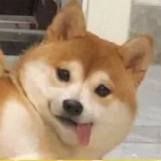 电子木鱼
