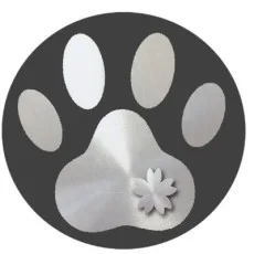 灰銀猫