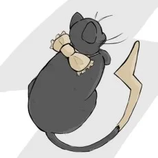 千夜ねこ