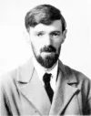 David Herbert Richards Lawrence