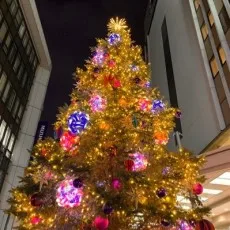 桂真琴