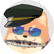 せた