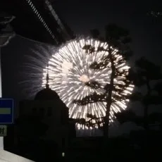 真戸香