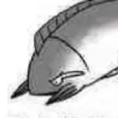 赵烁