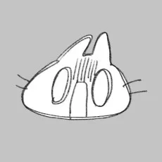 トレタ