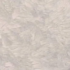 海老乃サワ