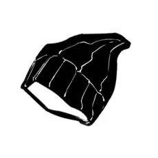 竹川獅