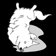 野良犬ロマン