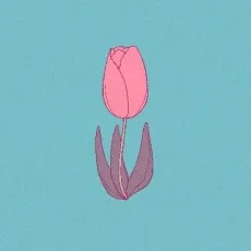 丸井きのみ