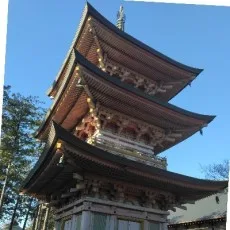 奥沢清之