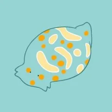 海戸あお