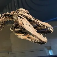 大橋ユウ