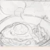 蕪木真