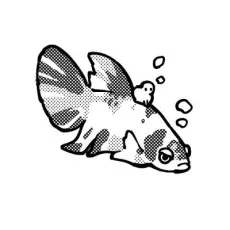 ちゃのこ