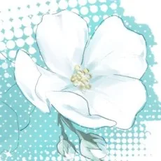 キヅタゆづ