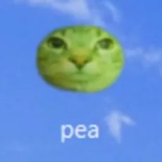 사한