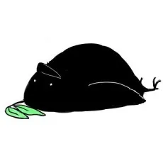 九朗