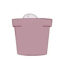 藤次はち