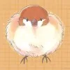 笹井さゆり