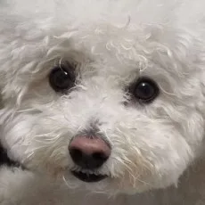 츄링