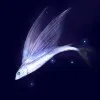 海原望