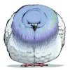 初丸うげべそ