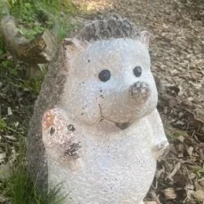 満水