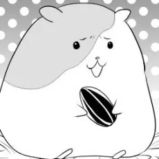 九田こすも